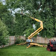 Best Grass Overseeding  in New Market, MD