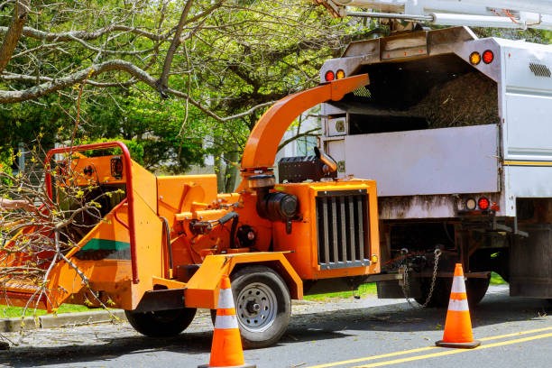 Best Commercial Tree Services  in New Market, MD